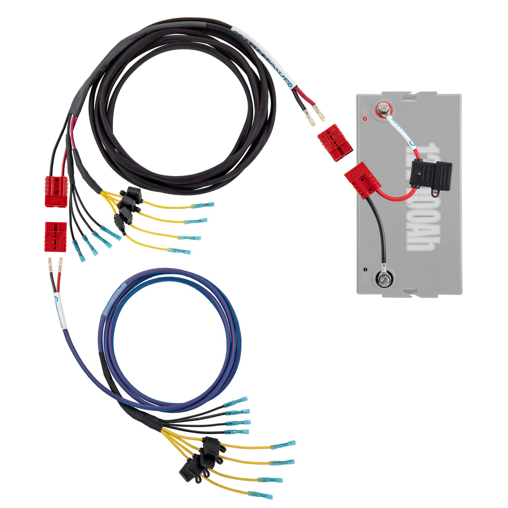 [RCE12VGRPRO1922] Graph Power Pro 19-22 Electronics wiring harness Lithium Compatible